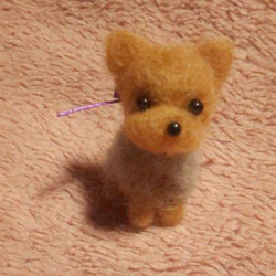 注文製作〕羊毛フェルトハンドメイド毛糸マルチーズ 羊毛