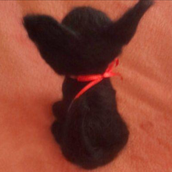〔受注製作〕羊毛フェルトハンドメイド黒猫ちゃん 3枚目の画像
