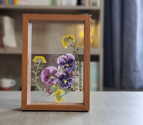 花のある暮らし。庭で咲いたお花達。ビオラとアリッサムの標本額 