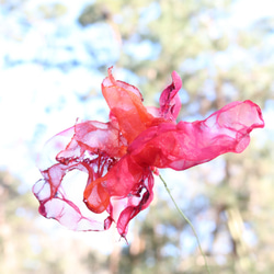 オレンジ 火花｜カラフルオーガンジーのアートフラワー【造花】 9枚目の画像