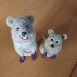 トイプードル ラムクリップ 羊毛フェルト てれ 通販 15076975｜Creema