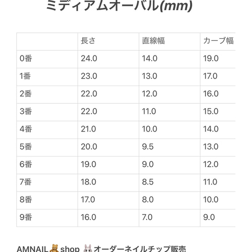ちーさん専用オーダーチップ ちーさん専用オーダーチップ