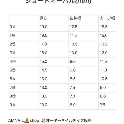 サイズ確認用チップ(2) ネイルチップ（つけ爪） AMNAIL 通販 11255336