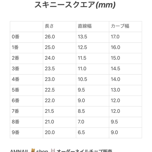 サイズ確認用チップ(2) ネイルチップ（つけ爪） AMNAIL 通販｜Creema 