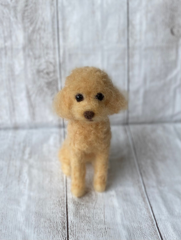 オーダー品　羊毛フェルト　ぬいぐるみ　愛犬　うちの子　人形　トイプードル 2枚目の画像