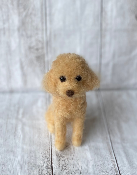 オーダー品　羊毛フェルト　ぬいぐるみ　愛犬　うちの子　人形　トイプードル 3枚目の画像
