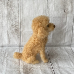 オーダー品　羊毛フェルト　ぬいぐるみ　愛犬　うちの子　人形　トイプードル 5枚目の画像