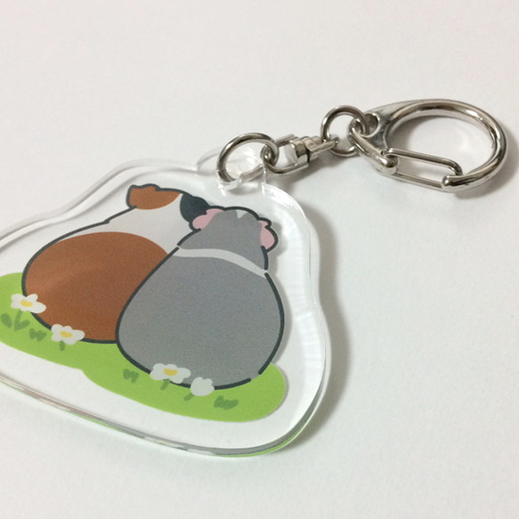 Guinea pig Key chain (Back)〜豚鼠/天竺鼠〜 第2張的照片