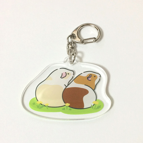 Guinea pig Key chain (Same direction)〜豚鼠/天竺鼠〜 第1張的照片