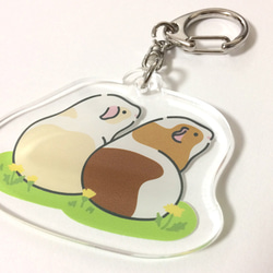 Guinea pig Key chain (Same direction)〜豚鼠/天竺鼠〜 第2張的照片