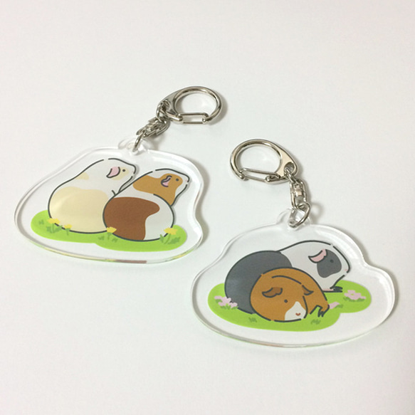 Guinea pig Key chain (Same direction)〜豚鼠/天竺鼠〜 第3張的照片