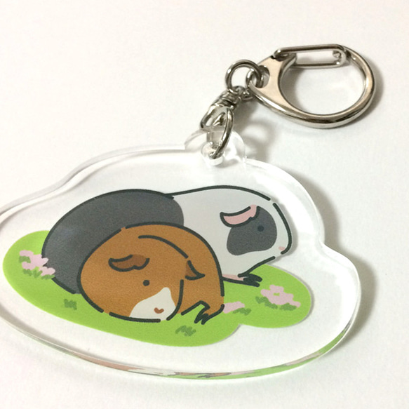 Guinea pig Key chain (Front and Behind)〜豚鼠/天竺鼠〜 第2張的照片