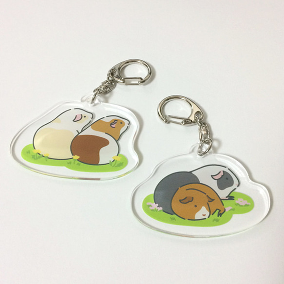 Guinea pig Key chain (Front and Behind)〜豚鼠/天竺鼠〜 第3張的照片