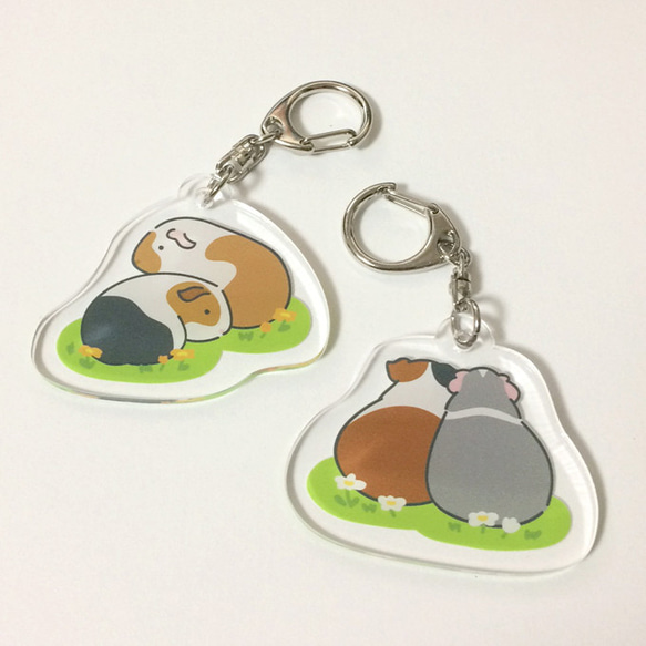 Guinea pig Key chain (Front and Behind)〜豚鼠/天竺鼠〜 第4張的照片