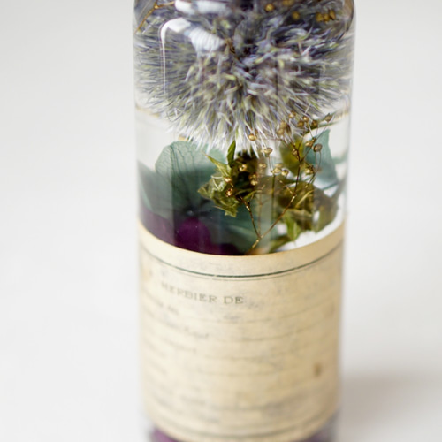 errer 香水瓶 白い小さな花 標本 ハーバリュウム 植物標本 アンティーク MI- おもちゃ errer 香水瓶 白い小さな花 標本 ハーバリュウム 植物