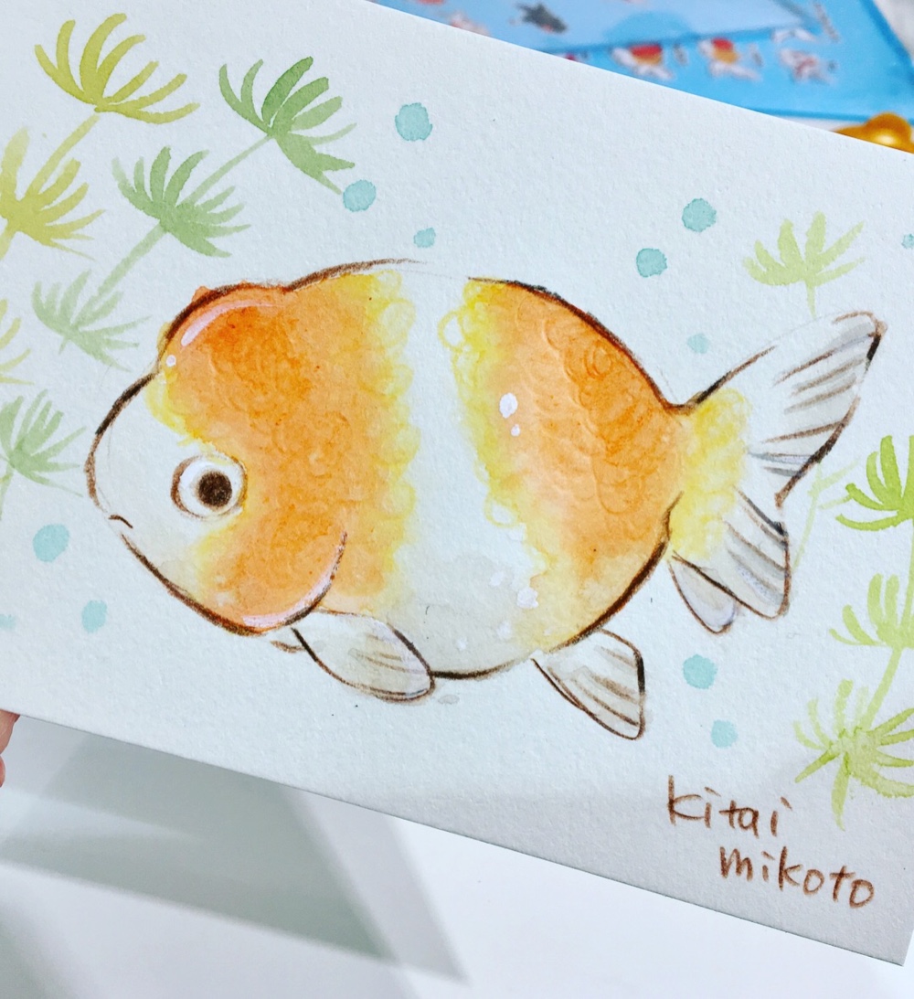 金魚の絵