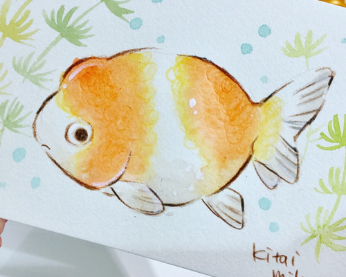 金魚の絵 0_a692d53f3b455c1da4e181958b85