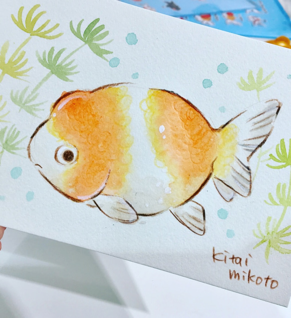 【1匹】ペット金魚ちゃんイラストオーダー 1枚目の画像