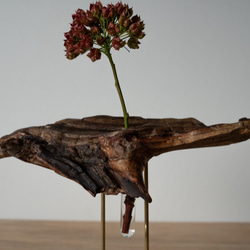 Driftwood flower vase (25) 6枚目の画像