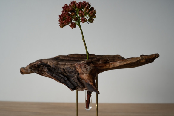 Driftwood flower vase (25) 6枚目の画像