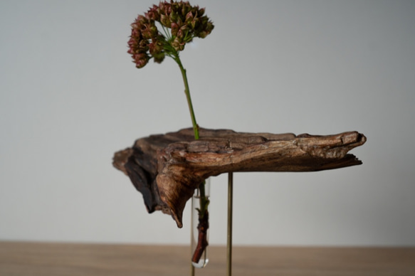 Driftwood flower vase (25) 7枚目の画像