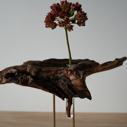 Driftwood flower vase (25) 9枚目の画像