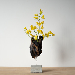 Driftwood flower vase (49) 1枚目の画像