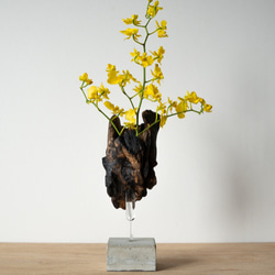 Driftwood flower vase (49) 2枚目の画像