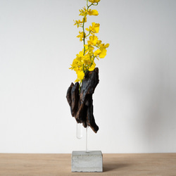 Driftwood flower vase (49) 3枚目の画像