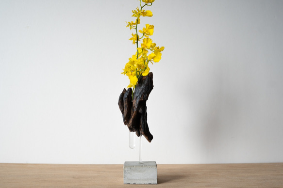 Driftwood flower vase (49) 3枚目の画像