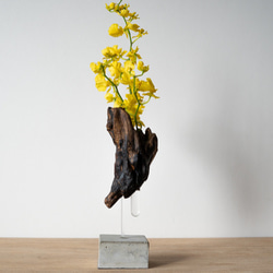 Driftwood flower vase (49) 5枚目の画像