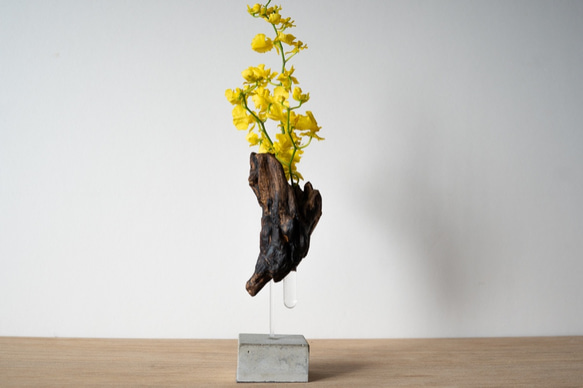 Driftwood flower vase (49) 5枚目の画像