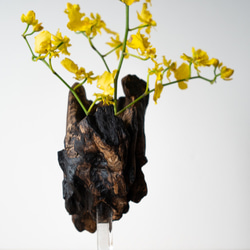 Driftwood flower vase (49) 6枚目の画像