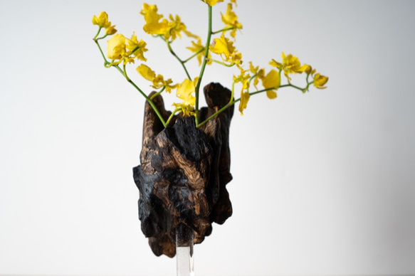 Driftwood flower vase (49) 6枚目の画像