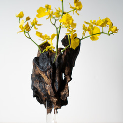 Driftwood flower vase (49) 7枚目の画像