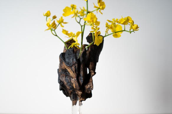 Driftwood flower vase (49) 7枚目の画像