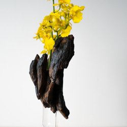 Driftwood flower vase (49) 8枚目の画像