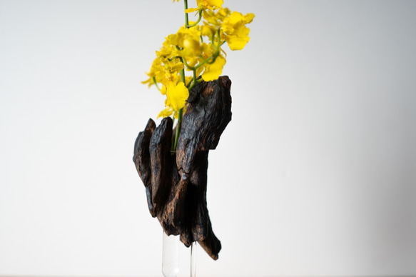 Driftwood flower vase (49) 8枚目の画像