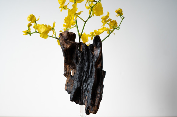 Driftwood flower vase (49) 9枚目の画像