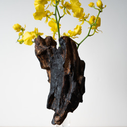 Driftwood flower vase (49) 10枚目の画像