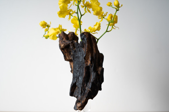 Driftwood flower vase (49) 10枚目の画像
