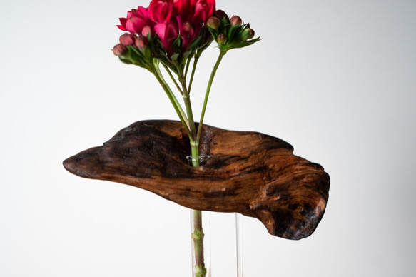 Driftwood flower vase (50) 7枚目の画像