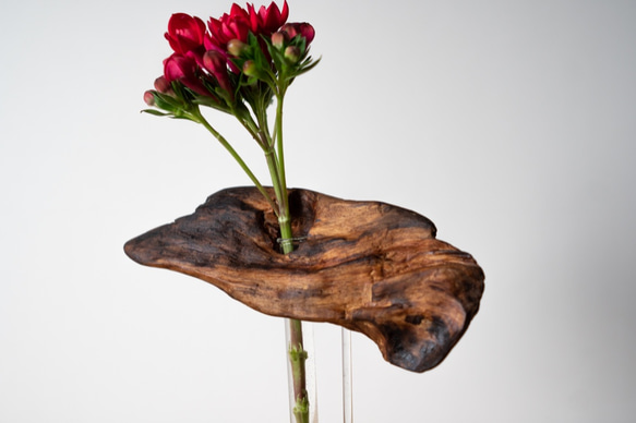 Driftwood flower vase (50) 8枚目の画像