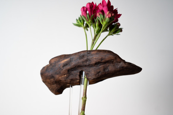 Driftwood flower vase (50) 9枚目の画像