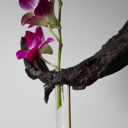 Driftwood flower vase (55) 7枚目の画像