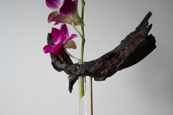 Driftwood flower vase (55) 7枚目の画像