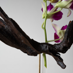 Driftwood flower vase (55) 8枚目の画像