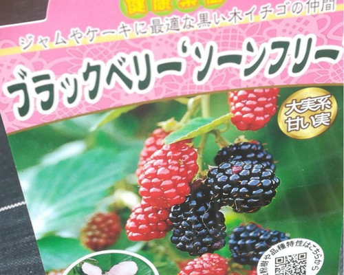 0_8b87d5954c0072b20ac0de3ed8b8