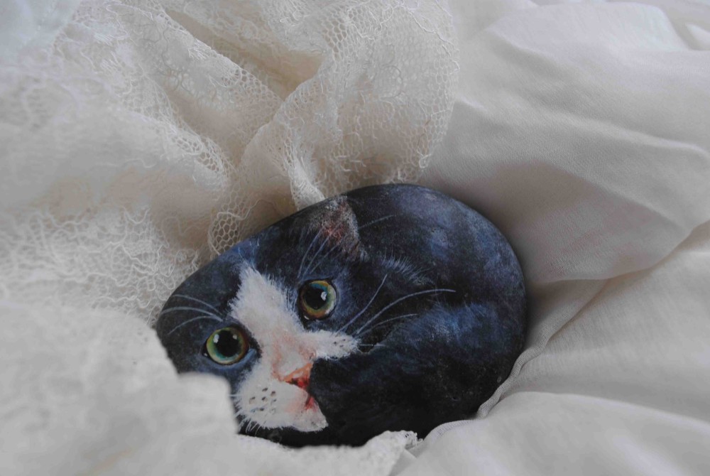 chikuri5☆石猫☆ピンクのお鼻が可愛い白黒ハチワレさん その他
