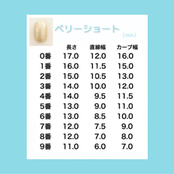 ちょうちょ／ネイルチップ/春/送料無料 4枚目の画像